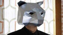 The Bear Mask The Bear Mask