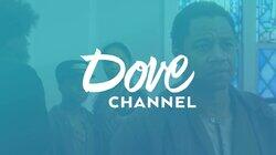 logo of Dove Channel logo of Dove Channel