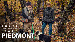 Piedmont Piedmont