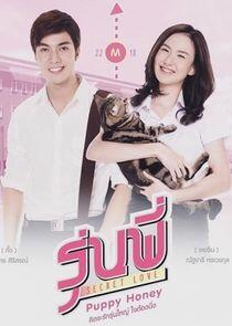 Senior Secret Love: Puppy Honey - Season 1 Senior Secret Love: Puppy Honey - Season 1
