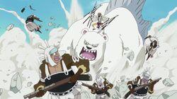 The Battle Is On! At Conchcorde Plaza! The Battle Is On! At Conchcorde Plaza!