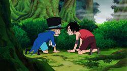 Enter Sabo! The Boy From the Grey Terminal Enter Sabo! The Boy From the Grey Terminal