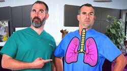 Lungs Lungs