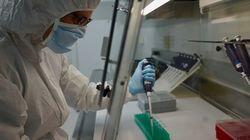 Secrets In Our DNA Secrets In Our DNA