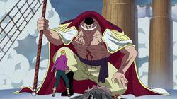 Akainu's Plot! Whitebeard Trapped! Akainu's Plot! Whitebeard Trapped!