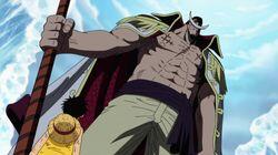 The Straw Hat Team Arrives - Tensions Grows on the Battlefield! The Straw Hat Team Arrives - Tensions Grows on the Battlefield!