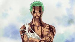 My Companions' Pain is My Pain - Zoro Prepares to Die My Companions' Pain is My Pain - Zoro Prepares to Die