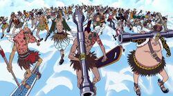 Light the Fire of Shandora! Wyper the Warrior Light the Fire of Shandora! Wyper the Warrior