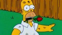 I'm with Cupid I'm with Cupid