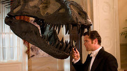 Dinosaur Fever Dinosaur Fever