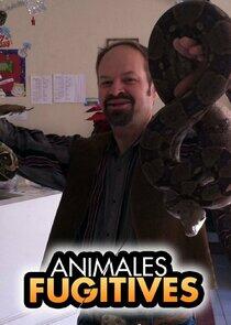 Animal Fugitives Animal Fugitives