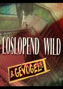 Loslopend wild & gevogelte Loslopend wild & gevogelte