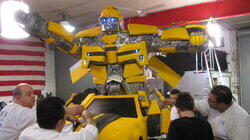 A Big Bumblebee & a Bossy Grace A Big Bumblebee & a Bossy Grace