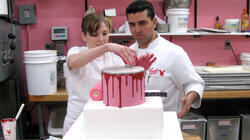 Painters, Pool and Pink Painters, Pool and Pink