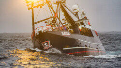Chase Boat Rescue Chase Boat Rescue