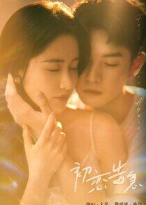 Fall in Love Again Fall in Love Again