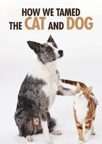 How We Tamed the Cat and Dog How We Tamed the Cat and Dog