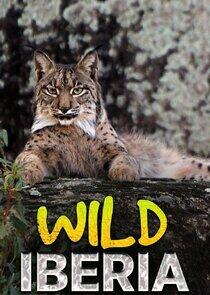 Wild Iberia Wild Iberia