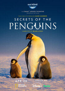 Secrets of the Penguins Secrets of the Penguins