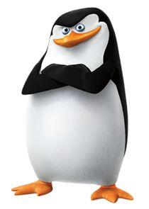 Skipper Skipper
