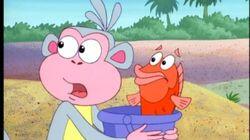 Fish Out of Water Fish Out of Water