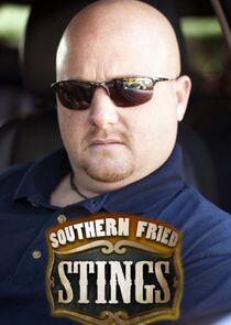 Southern Fried Stings Southern Fried Stings