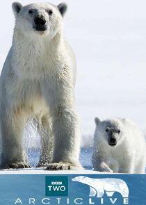 Arctic Live Arctic Live