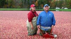 Cranberry Sauce Cranberry Sauce