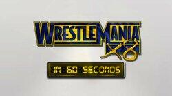 WrestleMania X8 WrestleMania X8