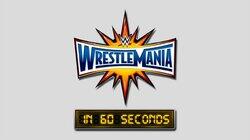 WrestleMania 33 WrestleMania 33