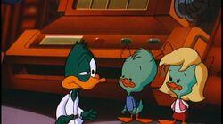 A Quack in the Quarks A Quack in the Quarks
