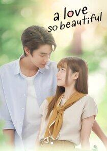 A Love So Beautiful A Love So Beautiful