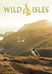 Wild Isles Wild Isles