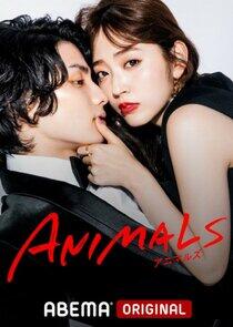 Animals Animals