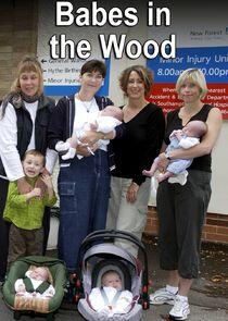 Babes in the Wood Babes in the Wood