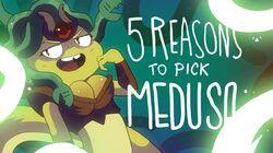 5 REASONS TO PICK MEDUSA 5 REASONS TO PICK MEDUSA