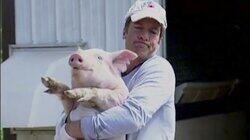 Pig Farmer
