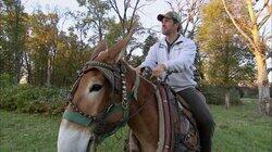 Mule Logger Mule Logger