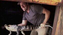 Alligator Farmer