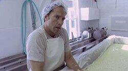Cheese Maker