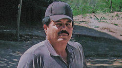 Ismael 'El Mayo' Zambada Garcia: The Head of the Sinaloa Cartel Ismael 'El Mayo' Zambada Garcia: The Head of the Sinaloa Cartel