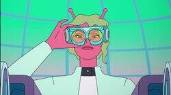Hoogadoon Bonch Hoogadoon Bonch