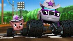 Piggy 500 Piggy 500