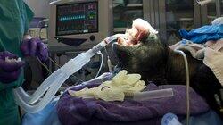 Chaos in the OR Chaos in the OR