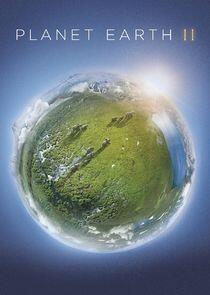 Planet Earth II Planet Earth II
