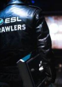 ESL Brawlers ESL Brawlers