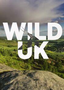 Wild UK Wild UK
