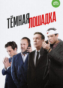 Тёмная лошадка Тёмная лошадка