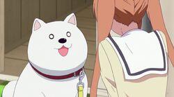 Final Battle! Decisive Blow! Aho Girl Final Battle! Decisive Blow! Aho Girl