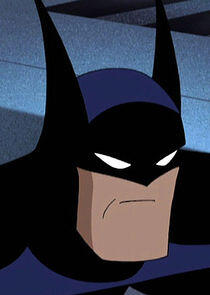 Batman / Bruce Wayne Batman / Bruce Wayne